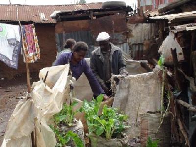 Looking to Africa for ideas about how to fight hunger