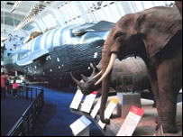 The Natural History Museum 自然歷史博物館