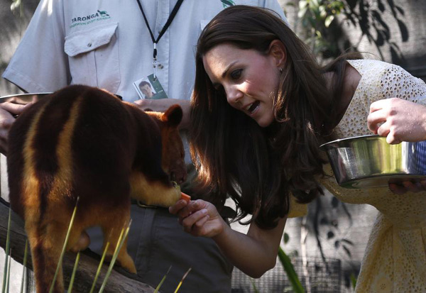 威廉凱特帶喬治小王子游悉尼野生動物園