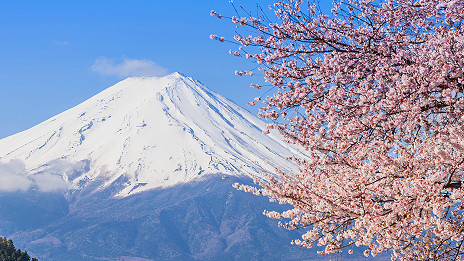 Free internet for Mount Fuji climbers 日本富士山向游客提供免費(fèi)無線網(wǎng)